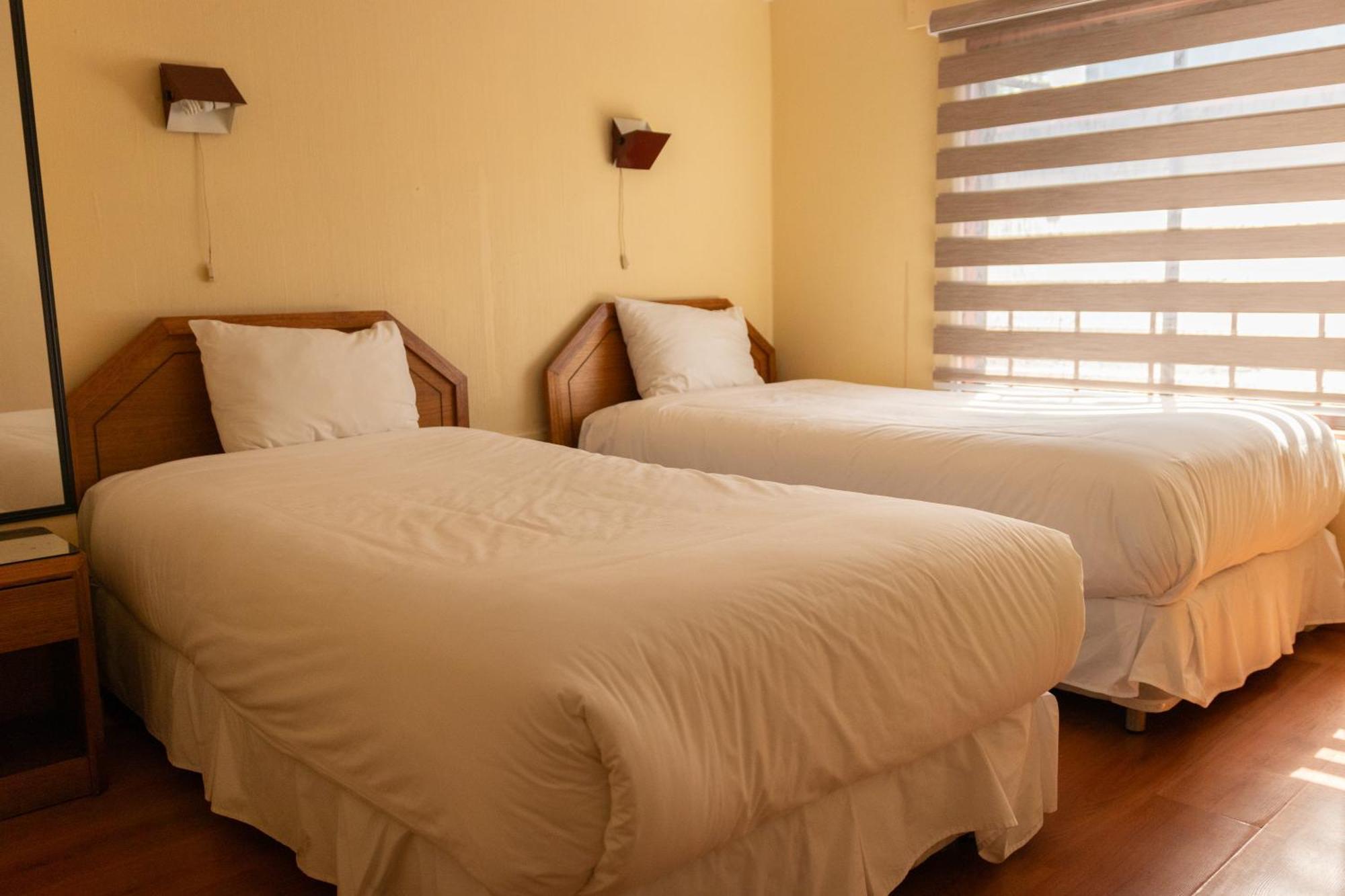Hotel Di Torlaschi Valdivia Zewnętrze zdjęcie